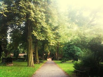 Footpath in park