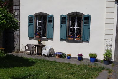 Potted plants outside building