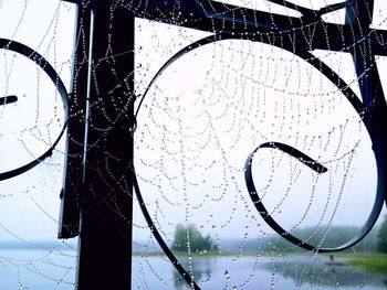 Close-up of wet glass window