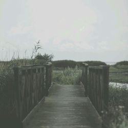 Boardwalk amidst trees against sky