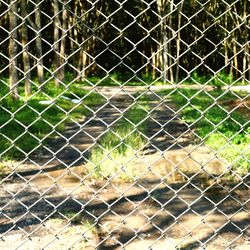 Full frame shot of metal fence