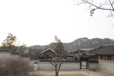 Houses and trees against clear sky