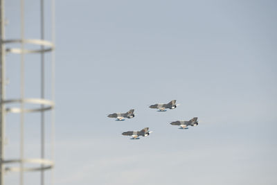 Low angle view of birds flying against the sky