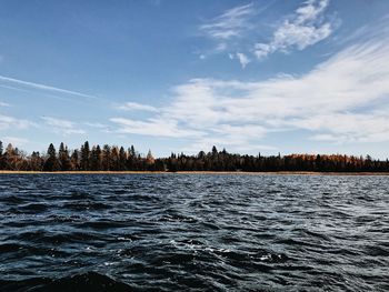 Panoramic view of trees against sky