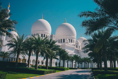 View of palm trees and buildings against sky