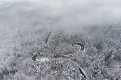 High angle view of trees on landscape during foggy weather