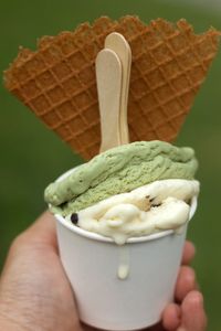 A hand holding a melting matcha and vanilla chocolate chips ice cream cup with a waffle