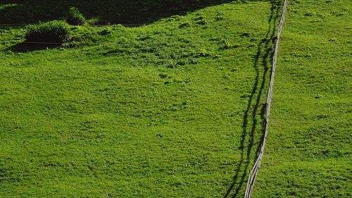 View of green landscape