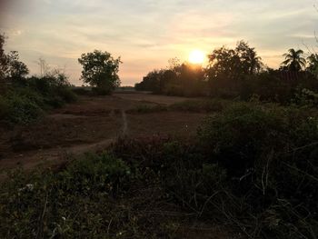 Scenic view of field against sky during sunset