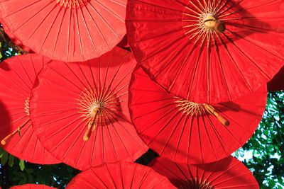 Directly below shot of red paper umbrellas hanging outdoors