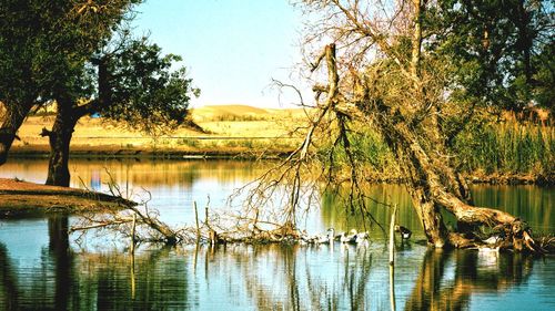 Scenic view of lake against sky