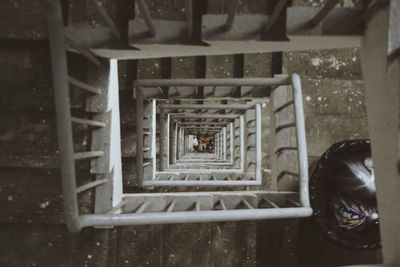 Low angle view of men on steps