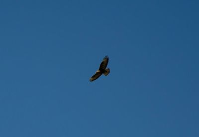 Low angle view of clear blue sky