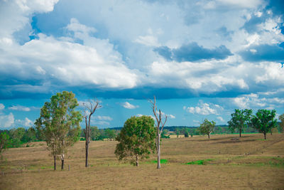 Scenic view of agricultural field against sky