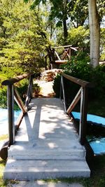 Walkway amidst trees in park