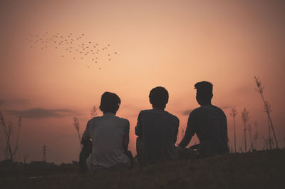 Rear view of men and birds flying against sky during sunset