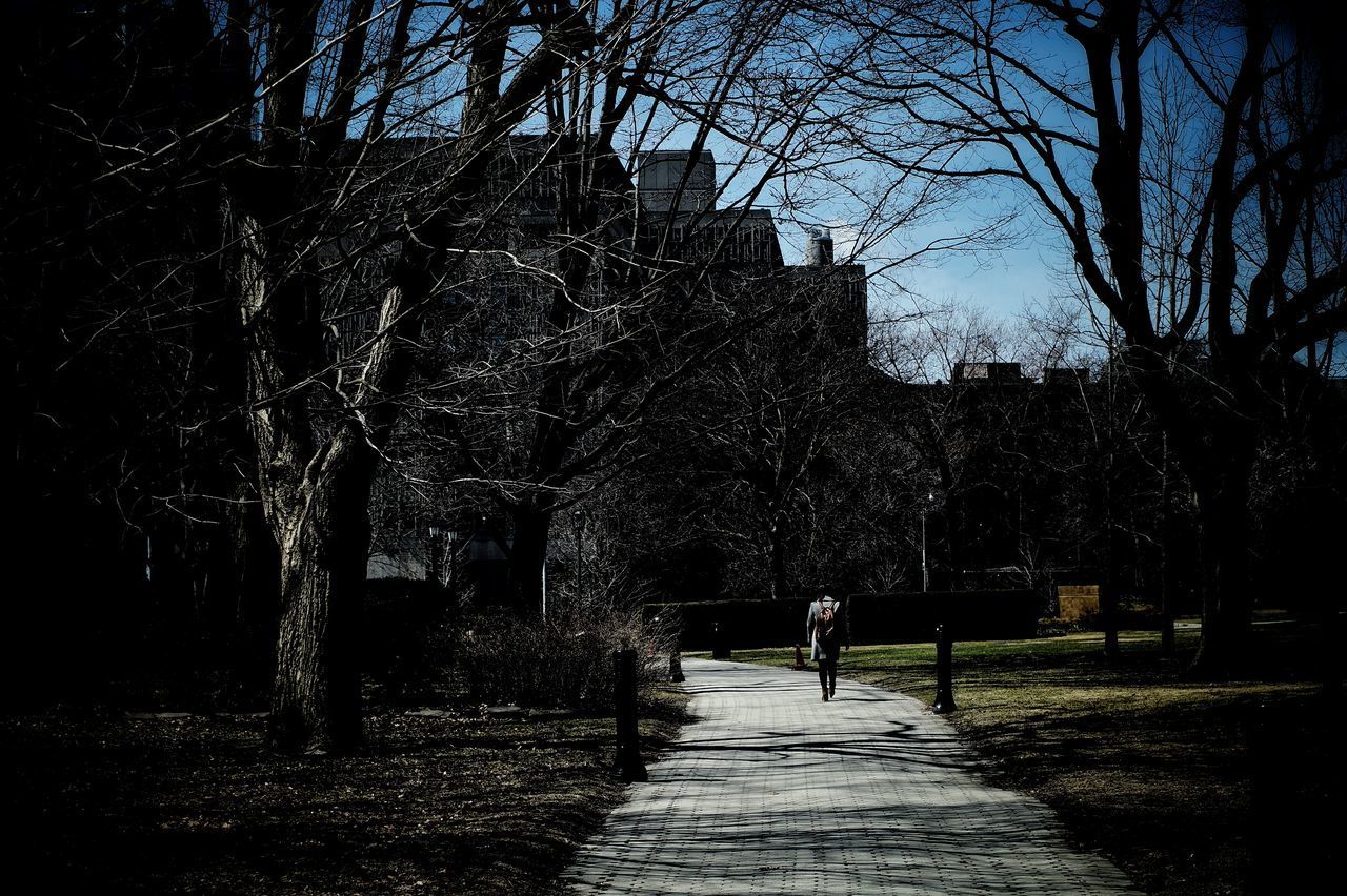 REAR VIEW OF PERSON WALKING ON FOOTPATH AMIDST BARE TREES