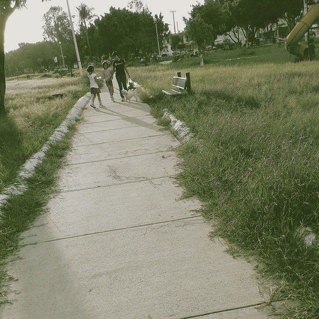 grass, bicycle, the way forward, lifestyles, men, transportation, leisure activity, tree, walking, person, field, full length, footpath, rear view, riding, growth, land vehicle