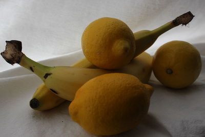 Close-up of oranges on table