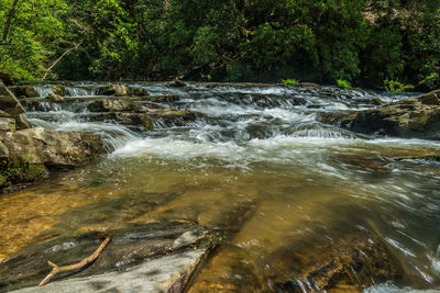 Water flowing through rocks in forest