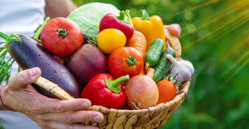 Cropped hand of woman holding tomatoes