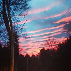 Low angle view of silhouette trees against sky at sunset