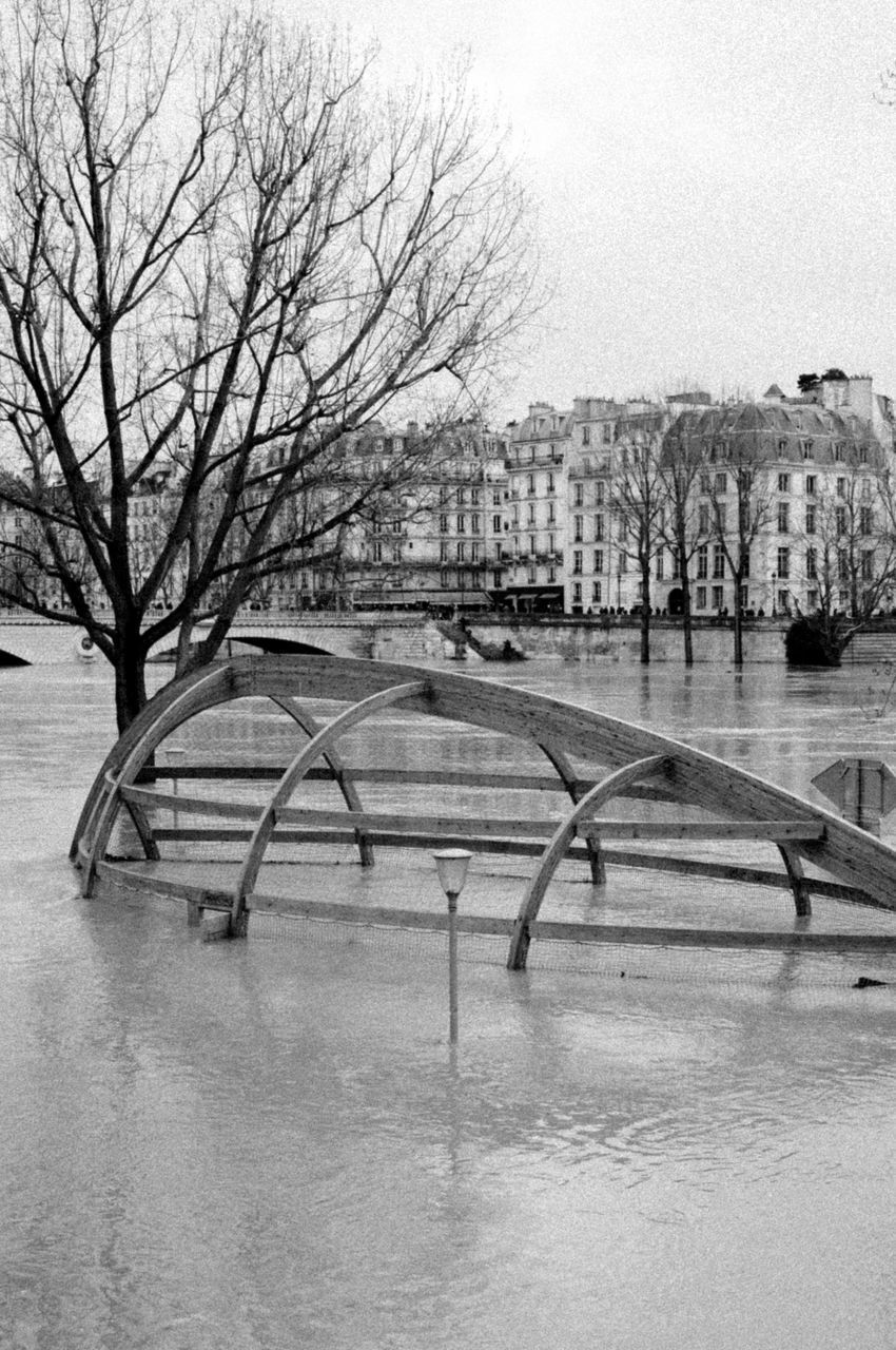 BARE TREES BY RIVER IN CITY