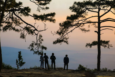 Silhouette people standing by tree against sky during sunset