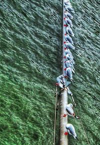 Close-up of rope on rope