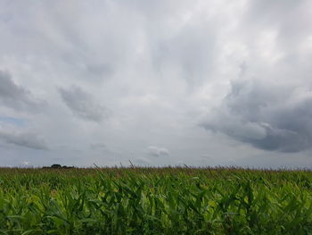 Scenic view of field against cloudy sky