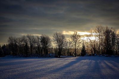 Trees on snow field against sky during winter
