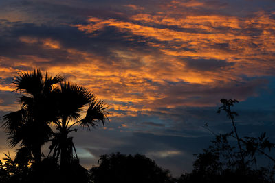 Low angle view of silhouette trees against sky at sunset