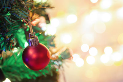 Close-up of christmas decoration hanging on tree