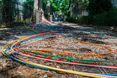 Multi colored railroad tracks by trees in city