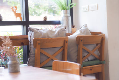 Potted plants on table at home