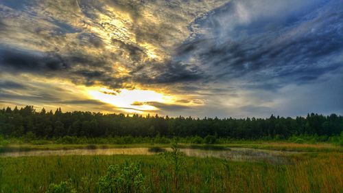 Scenic view of field against sky during sunset