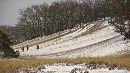 People on snow covered land by trees