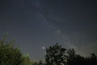 Low angle view of silhouette trees against sky at night