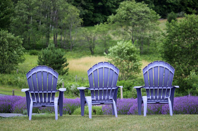 Chairs on grass against trees