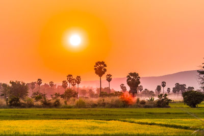 Scenic view of field against orange sky