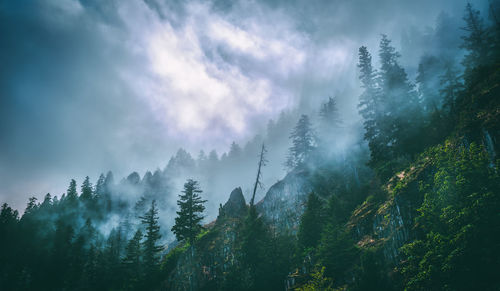 Panoramic view of trees and mountains against sky