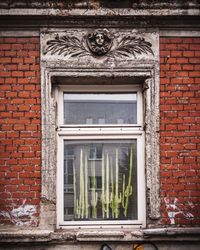 Close-up of window of house