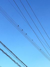 Low angle view of birds perching on cable against clear blue sky