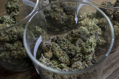 High angle of containers with collection of dry hemp floral buds on table in workspace