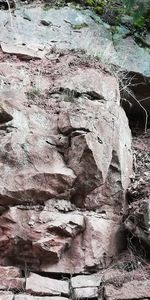 Close-up of rock formations in forest