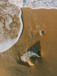 Close-up of sand at beach