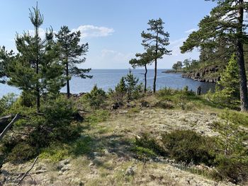 Scenic view of sea against sky