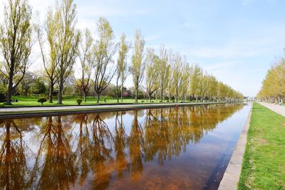 Reflection of trees in lake against sky