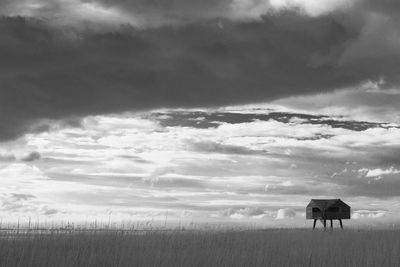 View of horse on field against sky