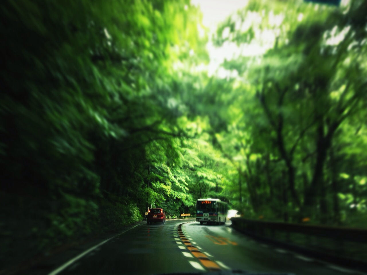 transportation, tree, road, the way forward, land vehicle, mode of transport, car, green color, on the move, diminishing perspective, street, growth, tunnel, forest, nature, travel, vanishing point, outdoors, road marking, motion